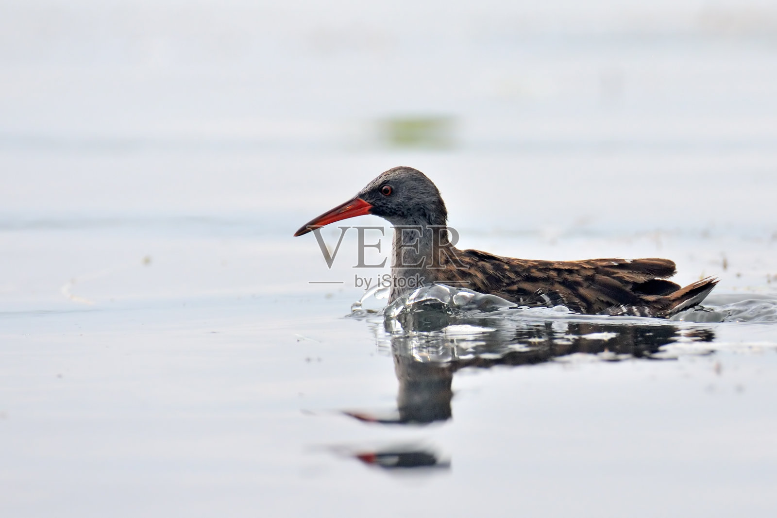 游泳脱毛水栏杆照片摄影图片