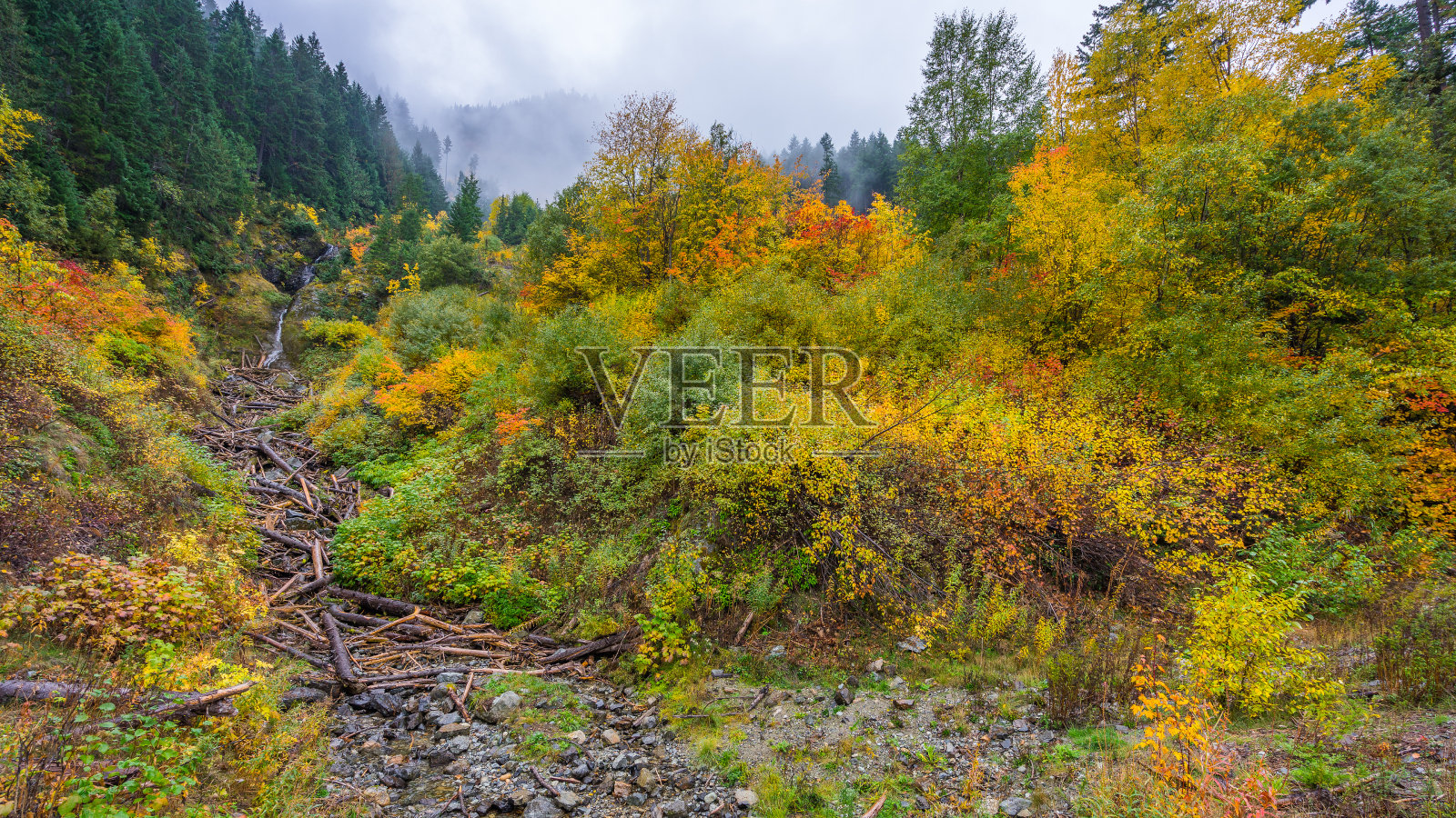 森林瀑布。在这个风景优美的地方,秋天的色彩十分丰富照片摄影图片