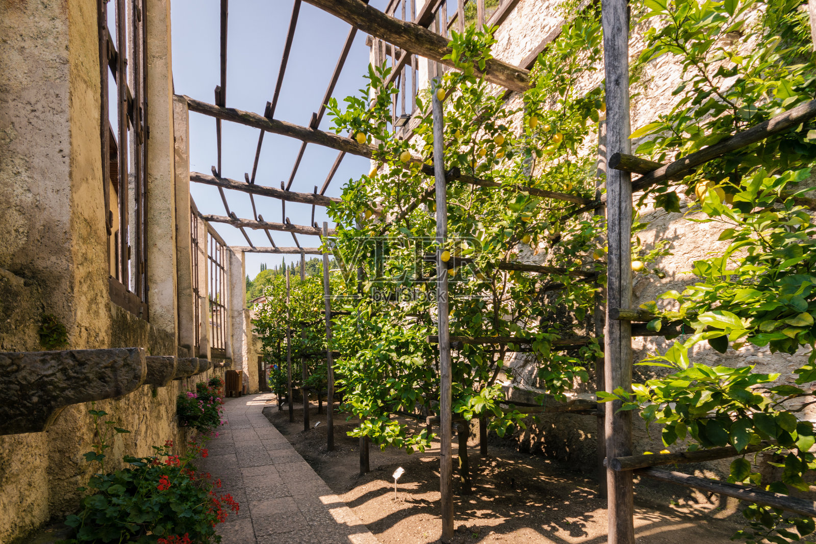 意大利加尔达市的老柠檬屋。照片摄影图片