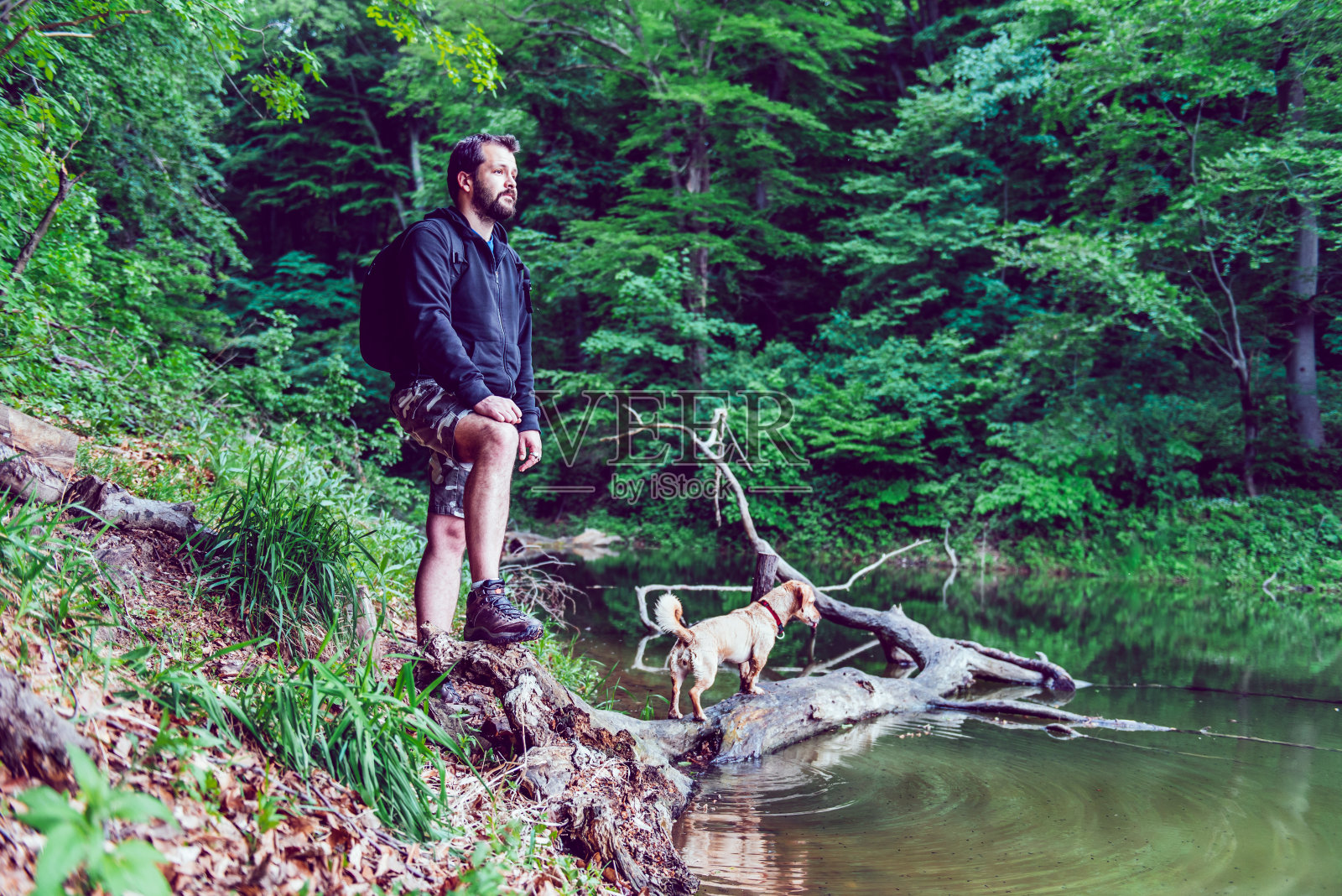 一个人和他的狗在湖边休息照片摄影图片