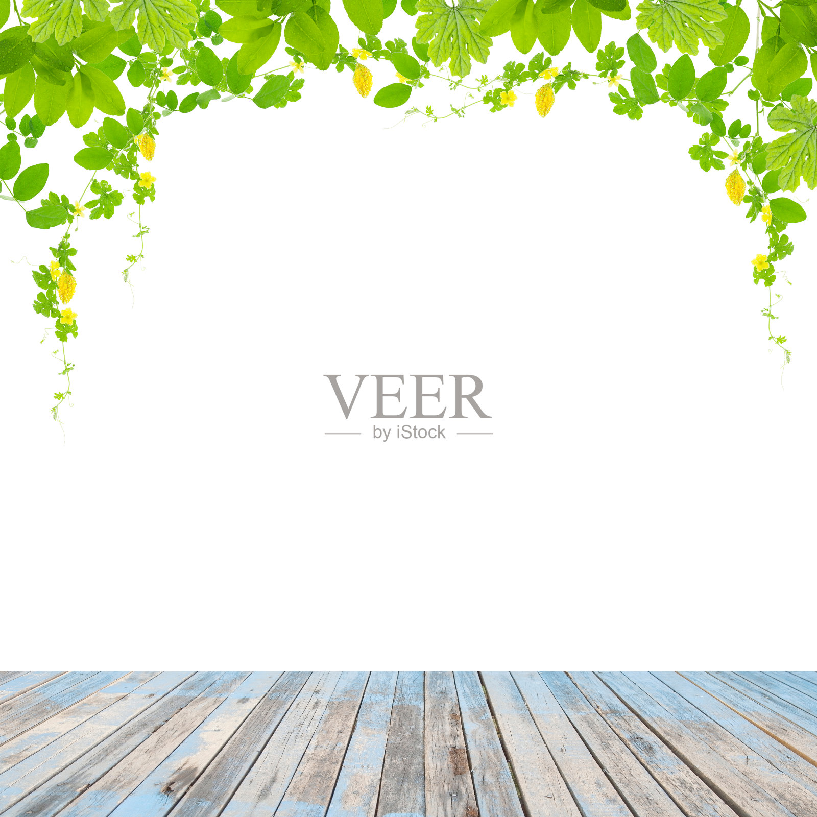 木地板与绿叶框架孤立在白色背景。照片摄影图片