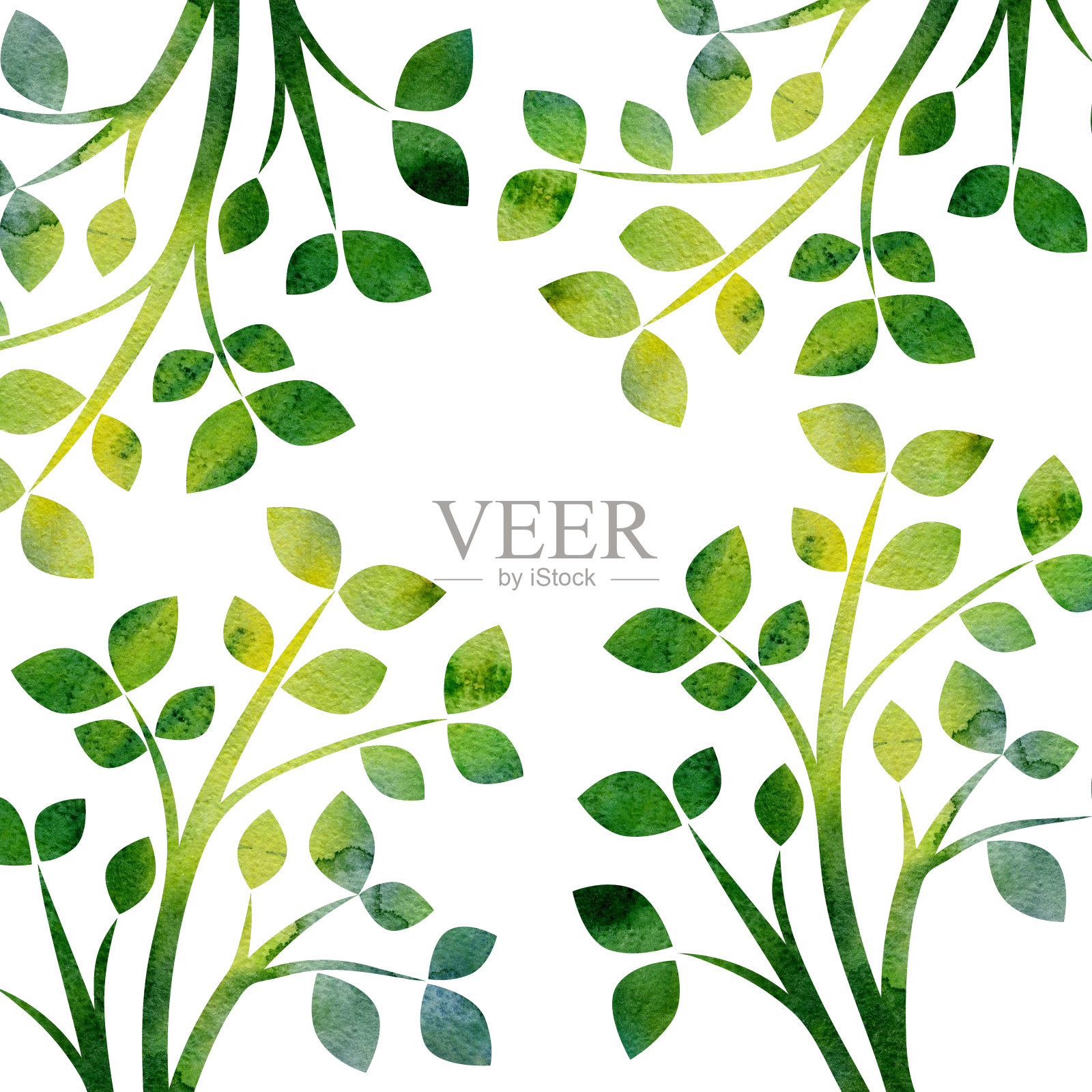 大自然的背景是树枝和绿叶照片摄影图片