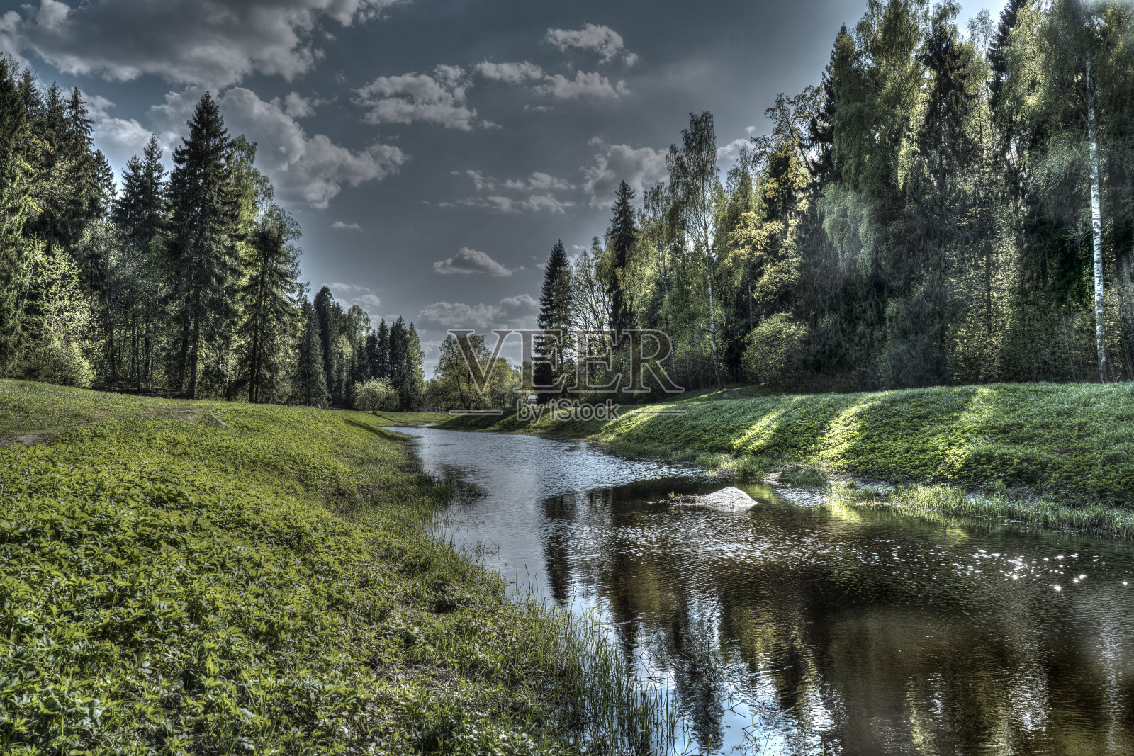 森林中的宁静照片摄影图片