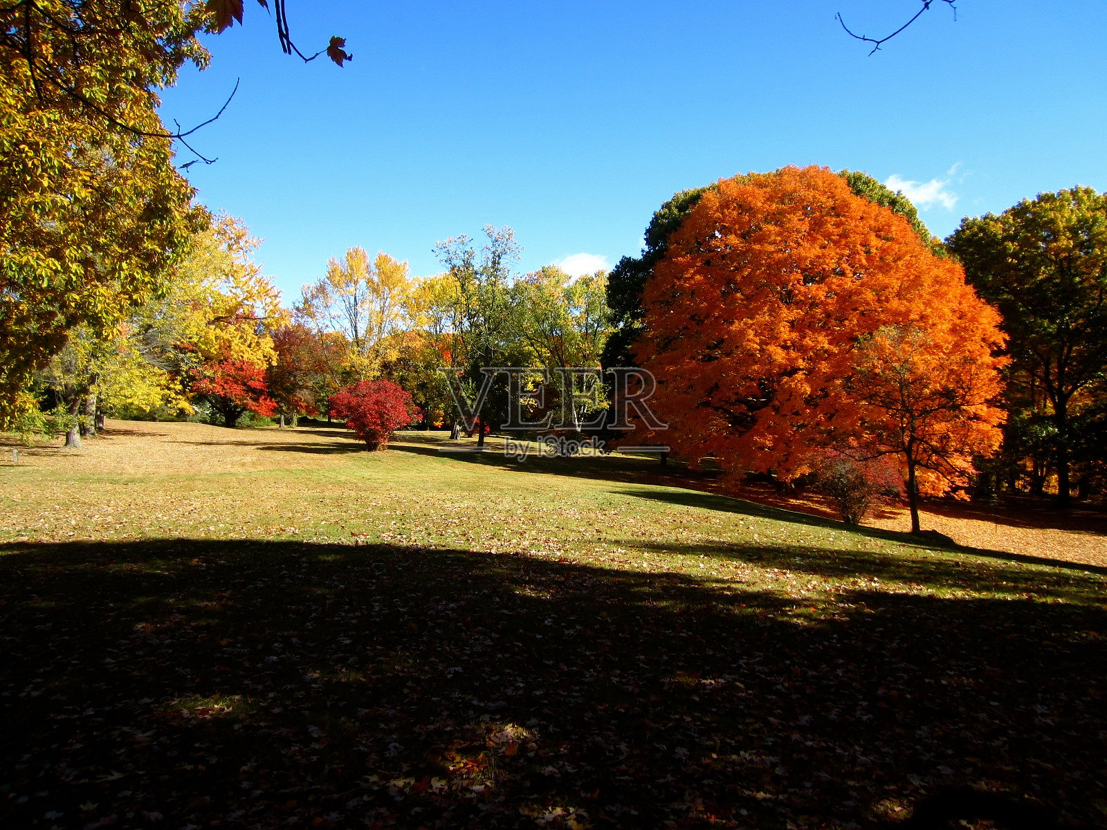 公园里的秋色照片摄影图片