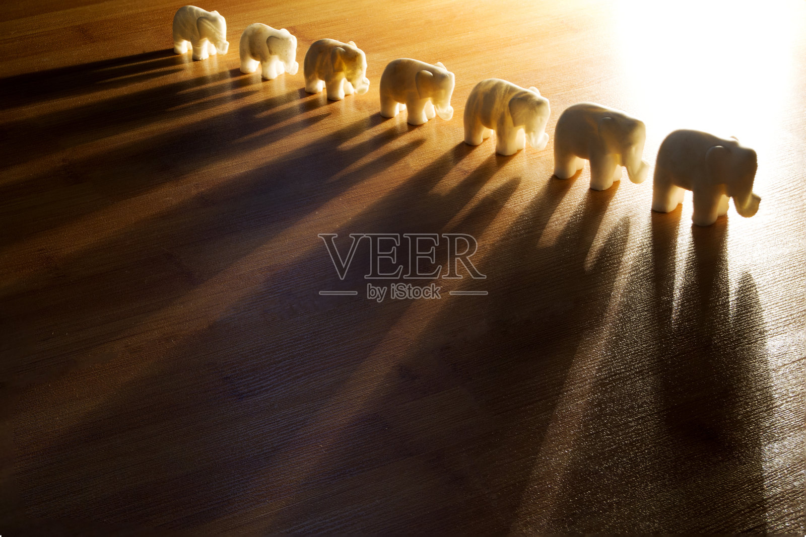 大象照片摄影图片