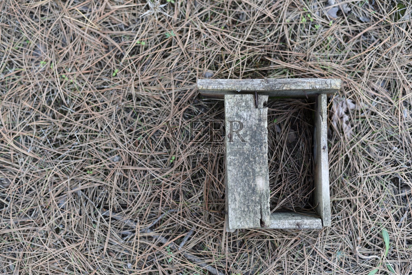 森林里地上的鸟屋被损坏了照片摄影图片