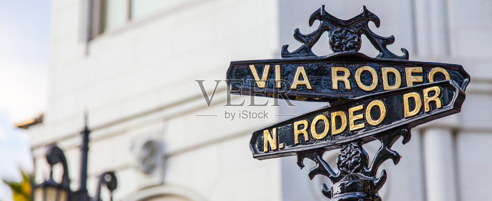 竞技博士照片摄影图片