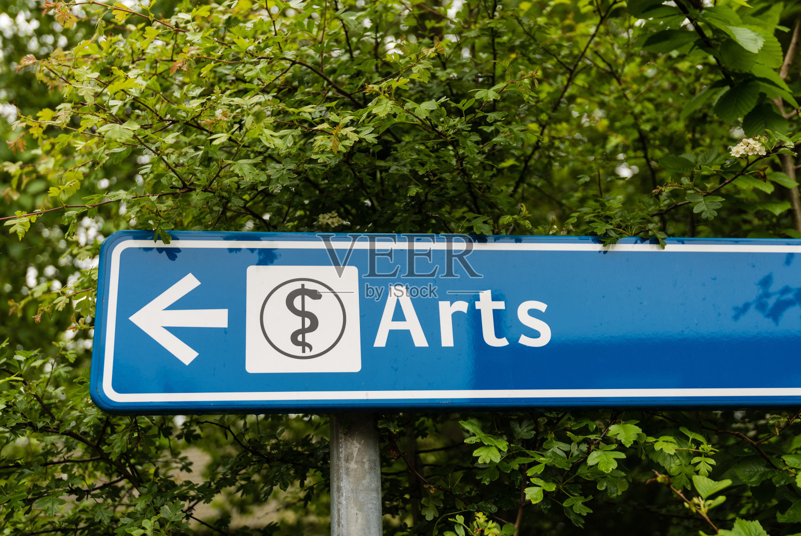 医学-艺术或科学照片摄影图片