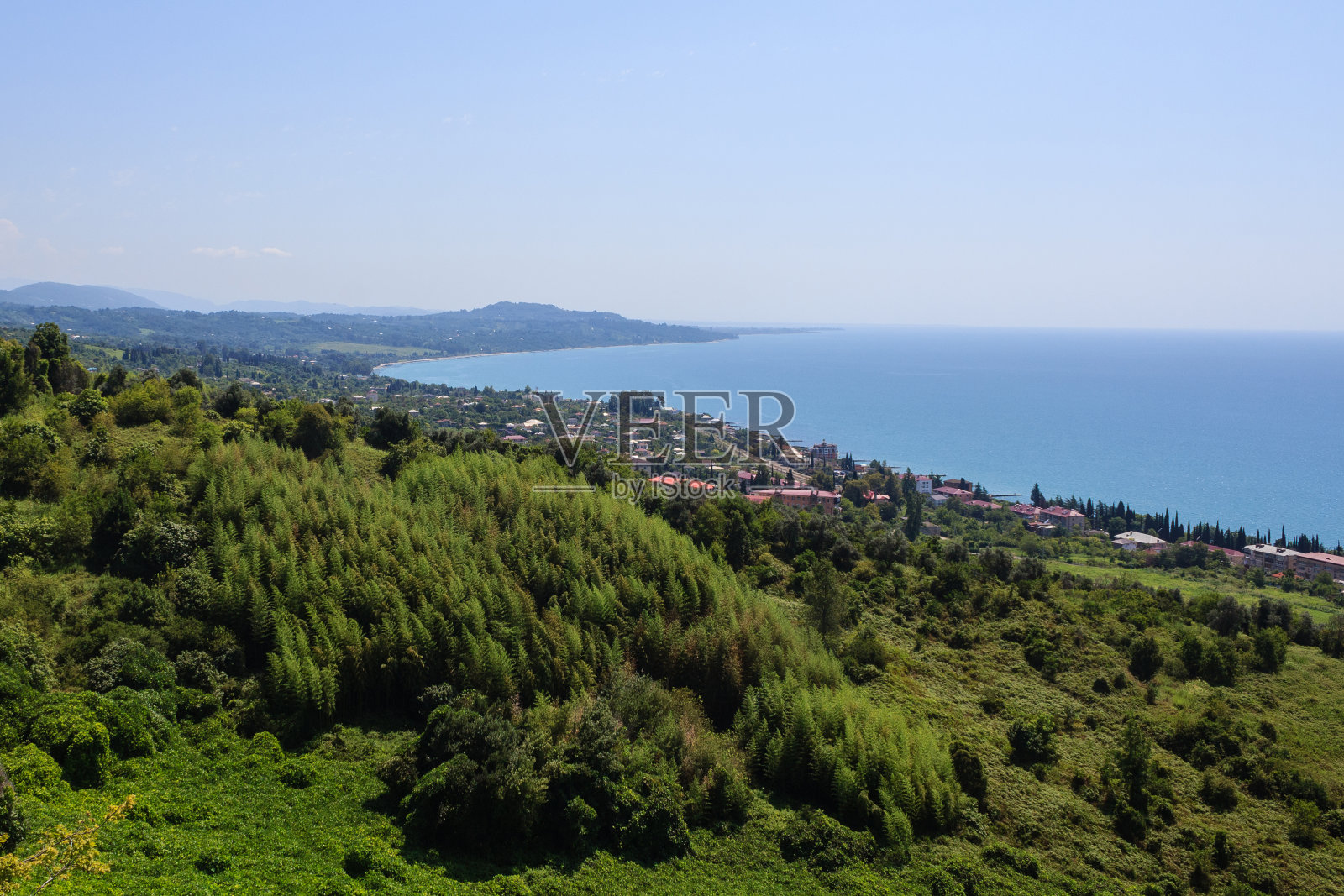 新阿陀斯的海滨景观,绿色的森林和房屋照片摄影图片