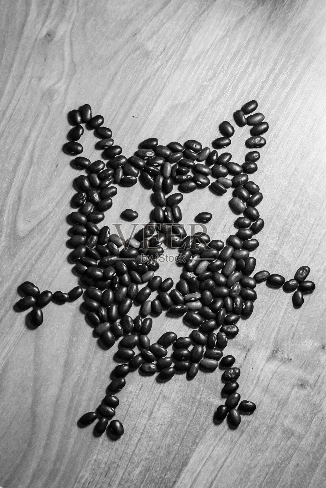 黑白猫头鹰,豆子做的照片摄影图片