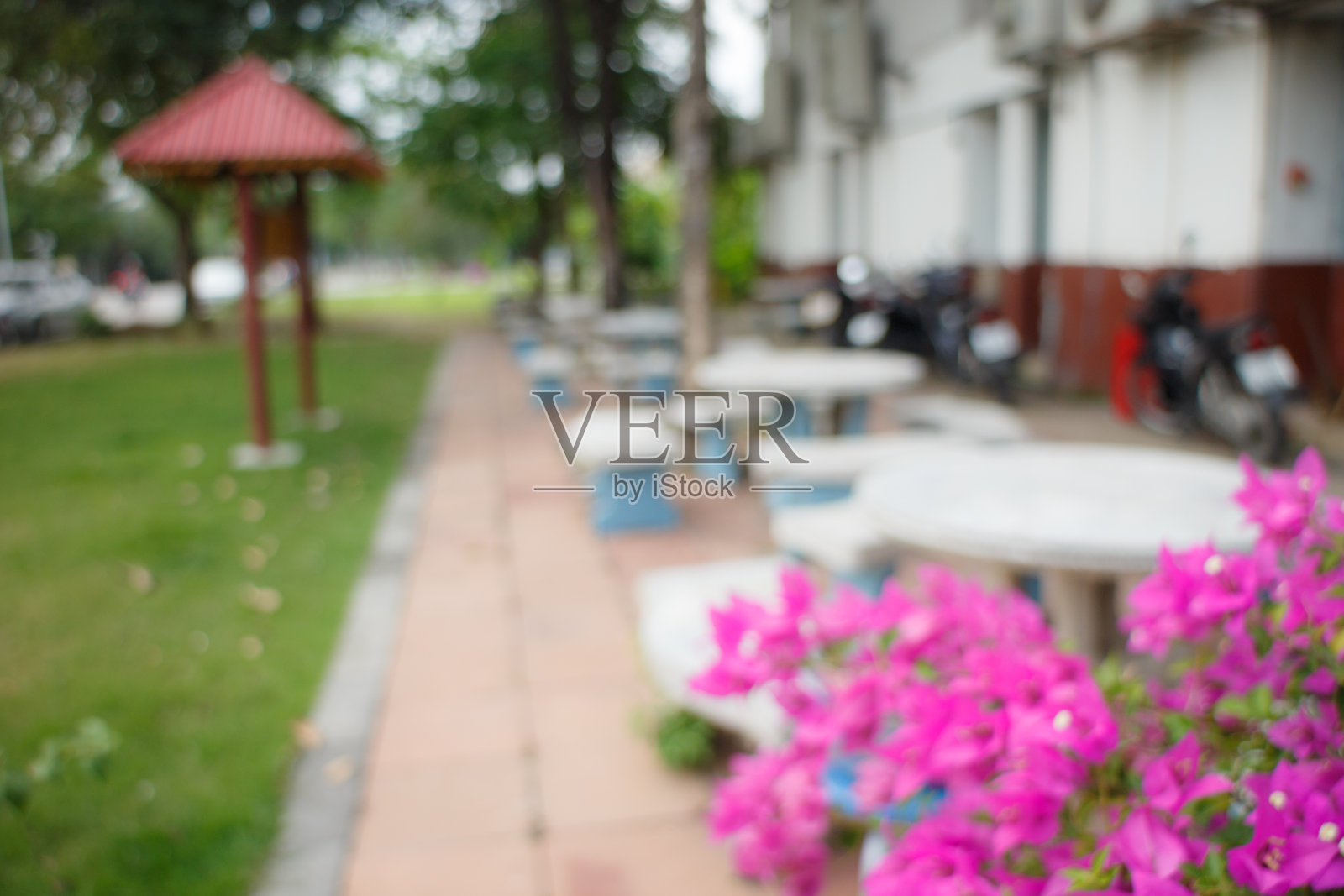 模糊的花园照片摄影图片