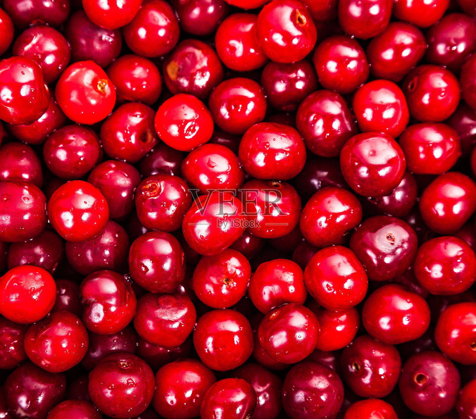 多汁的红色甜樱桃照片摄影图片