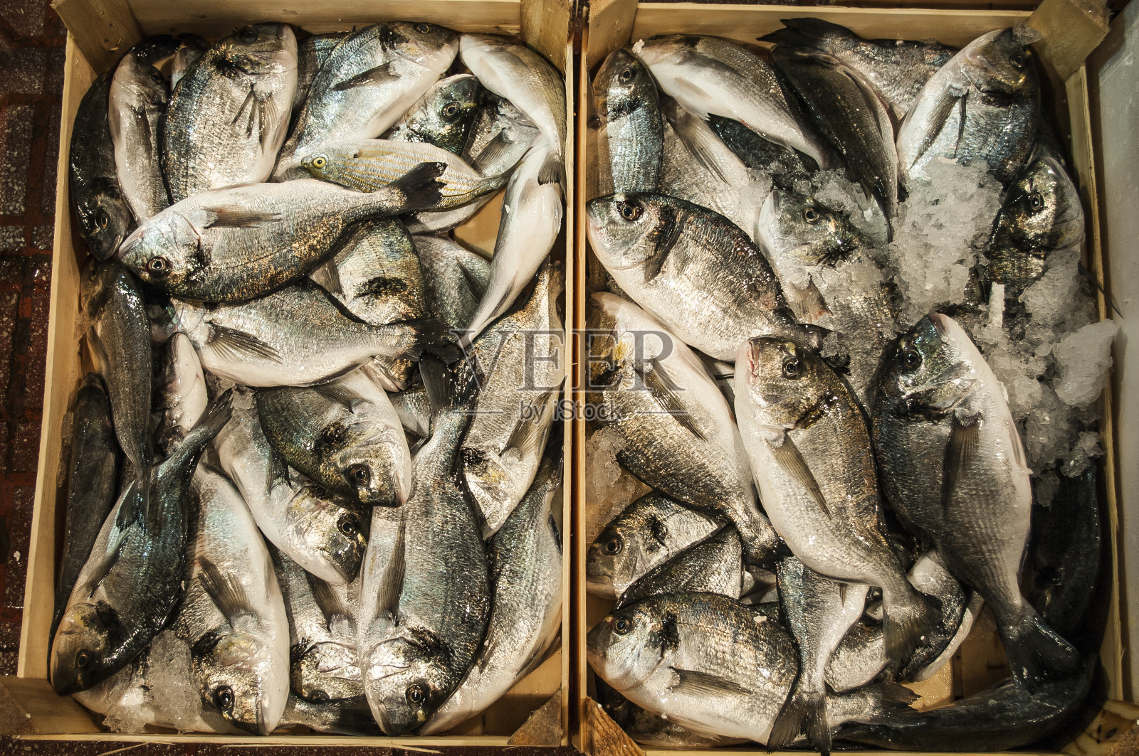 火鸡安塔利亚鱼拍卖照片摄影图片