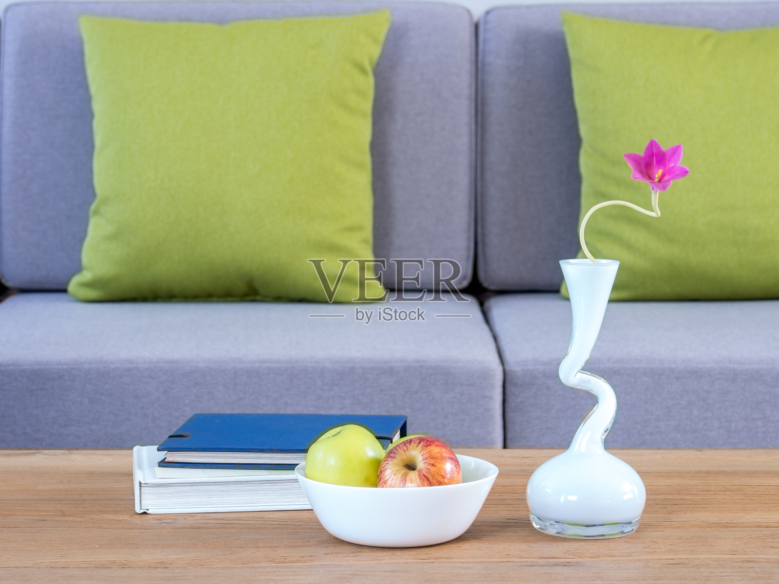 现代客厅/家居装修理念的室内设计照片摄影图片