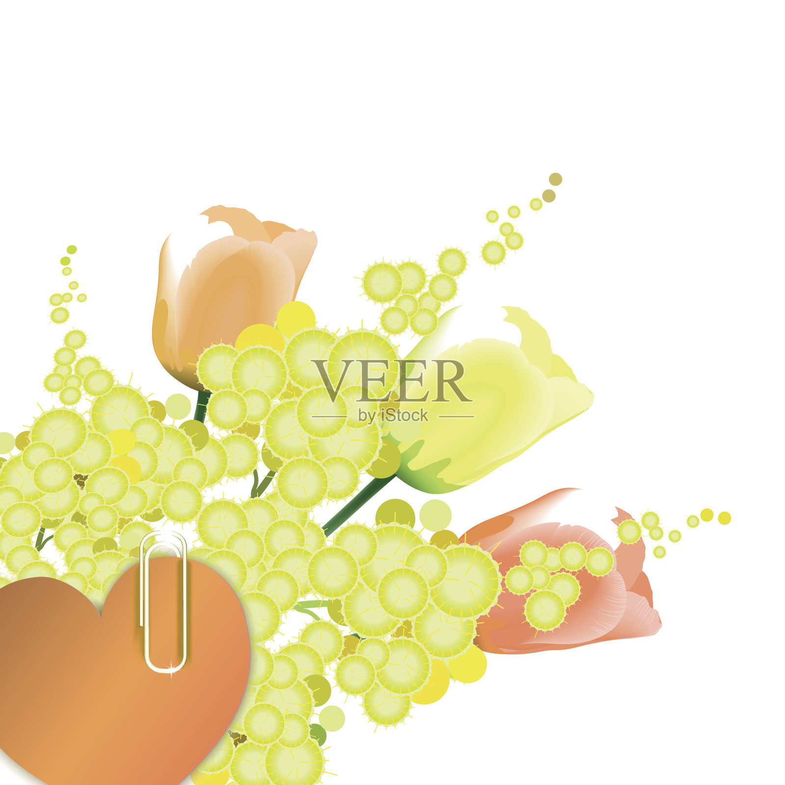 含羞草郁金香插画图片素材