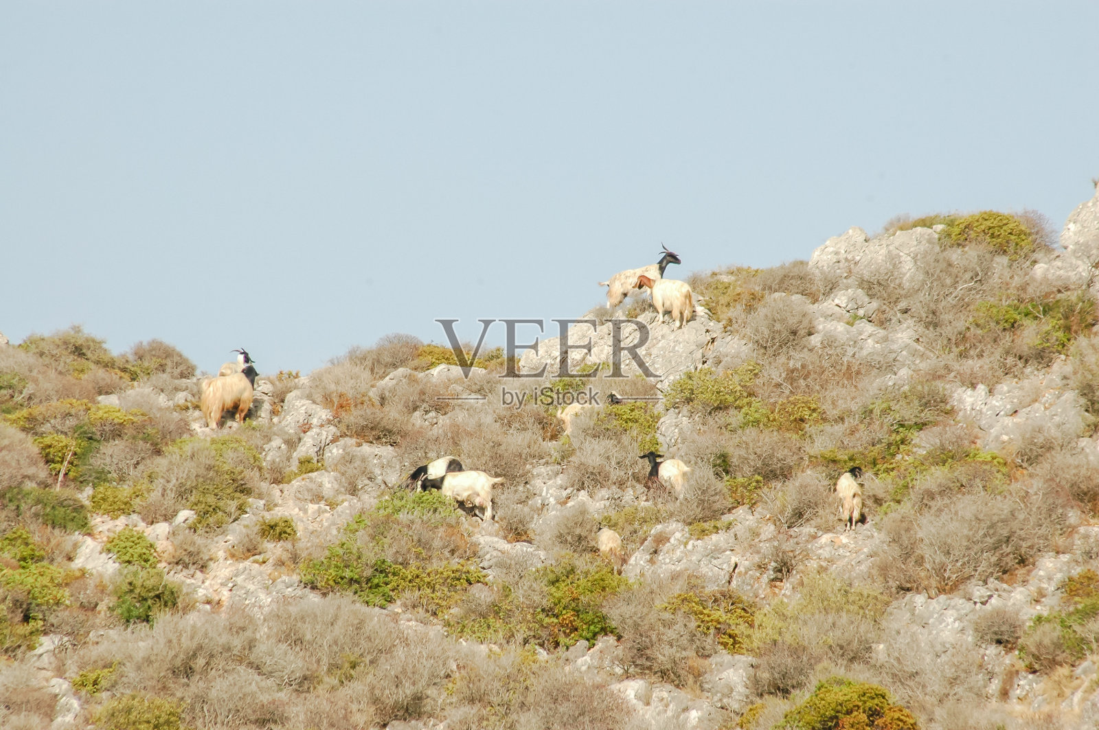 干燥的乡村风景照片摄影图片