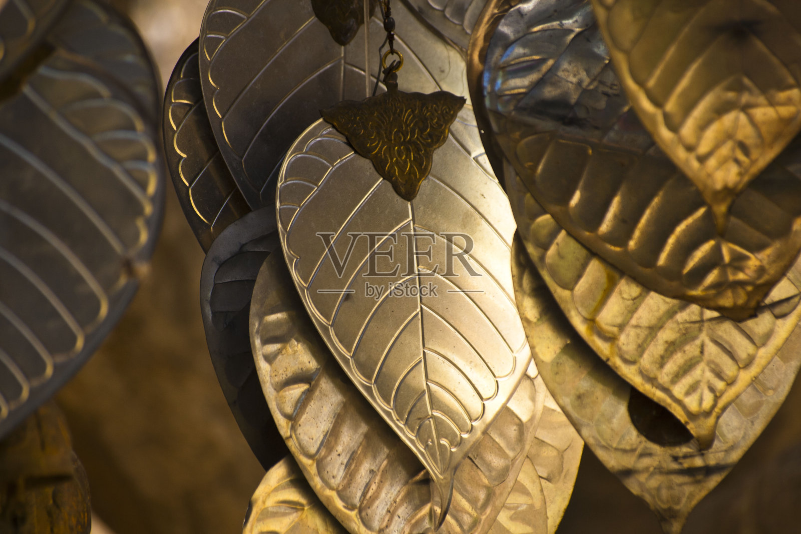 银无花果叶照片摄影图片