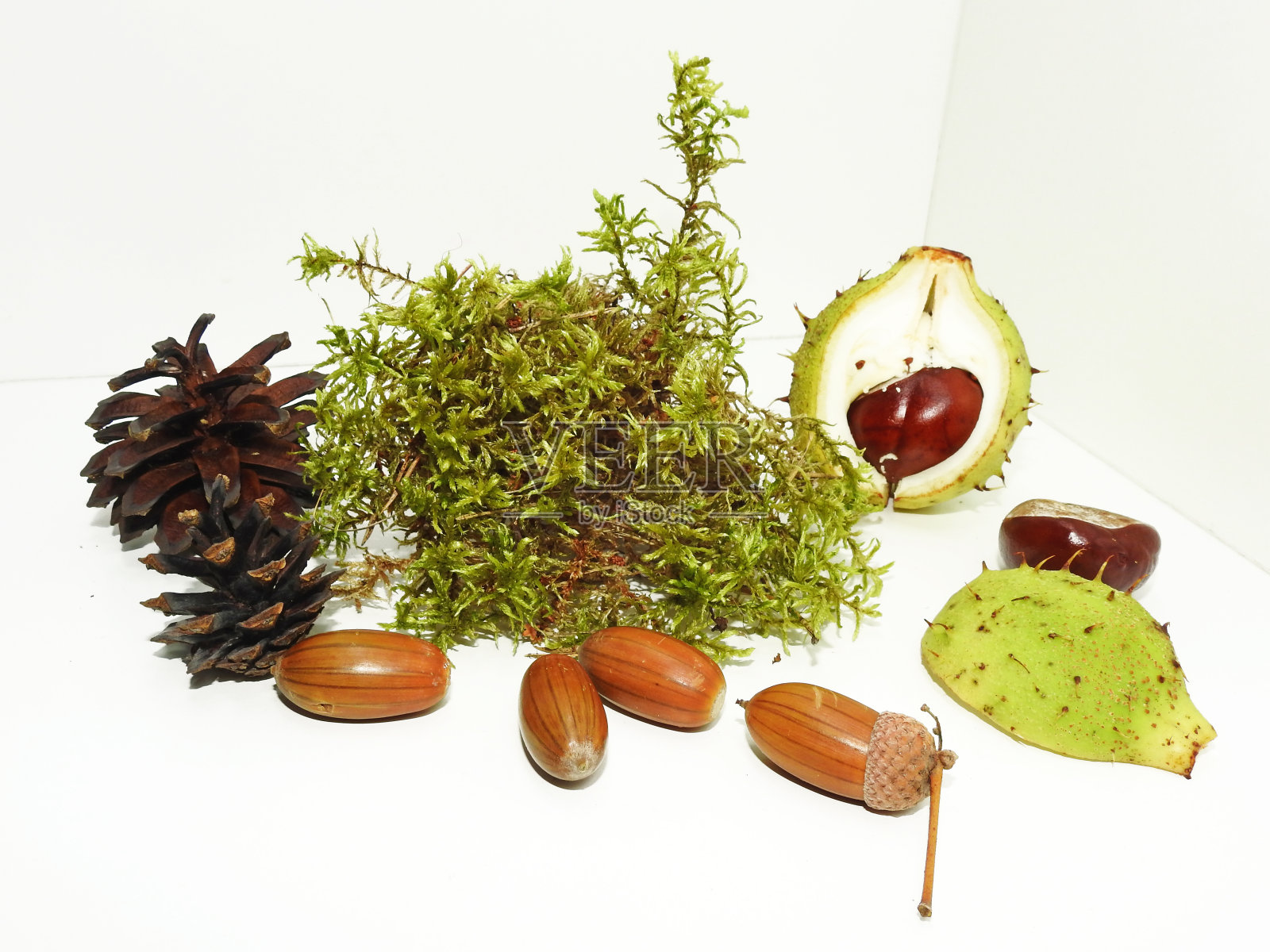 秋天的对象组成照片摄影图片