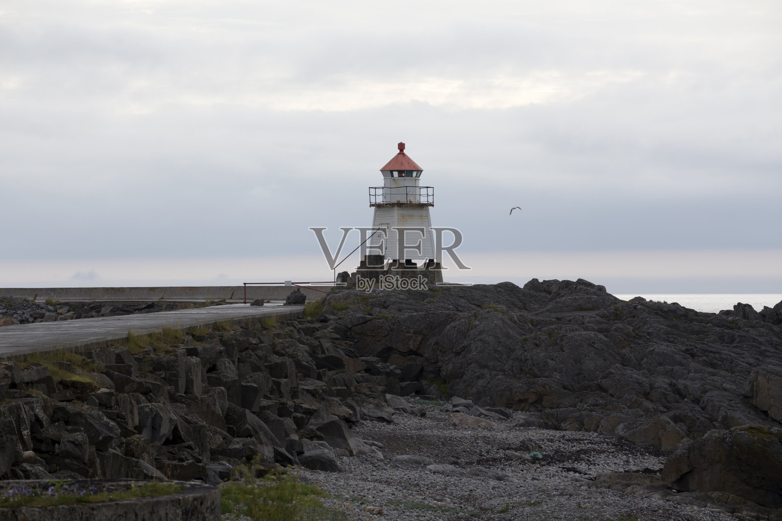 海鸥和灯塔照片摄影图片