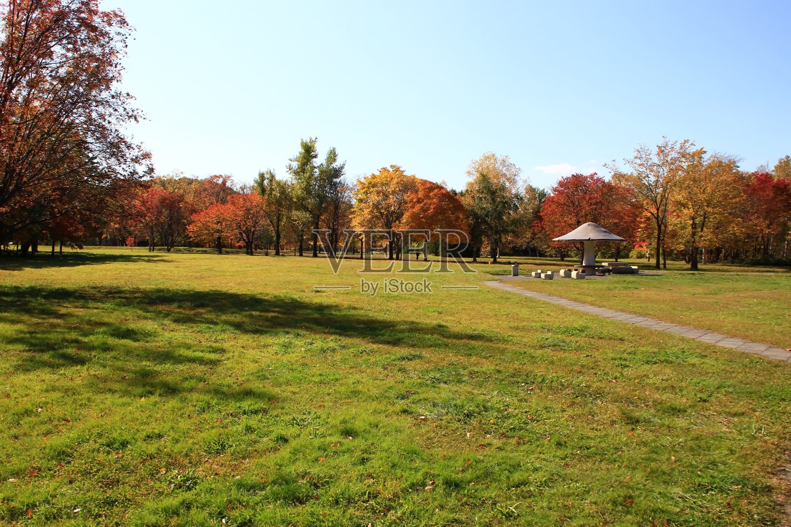 秋叶公园照片摄影图片