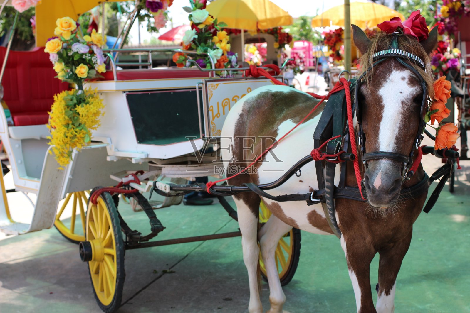 马车照片摄影图片
