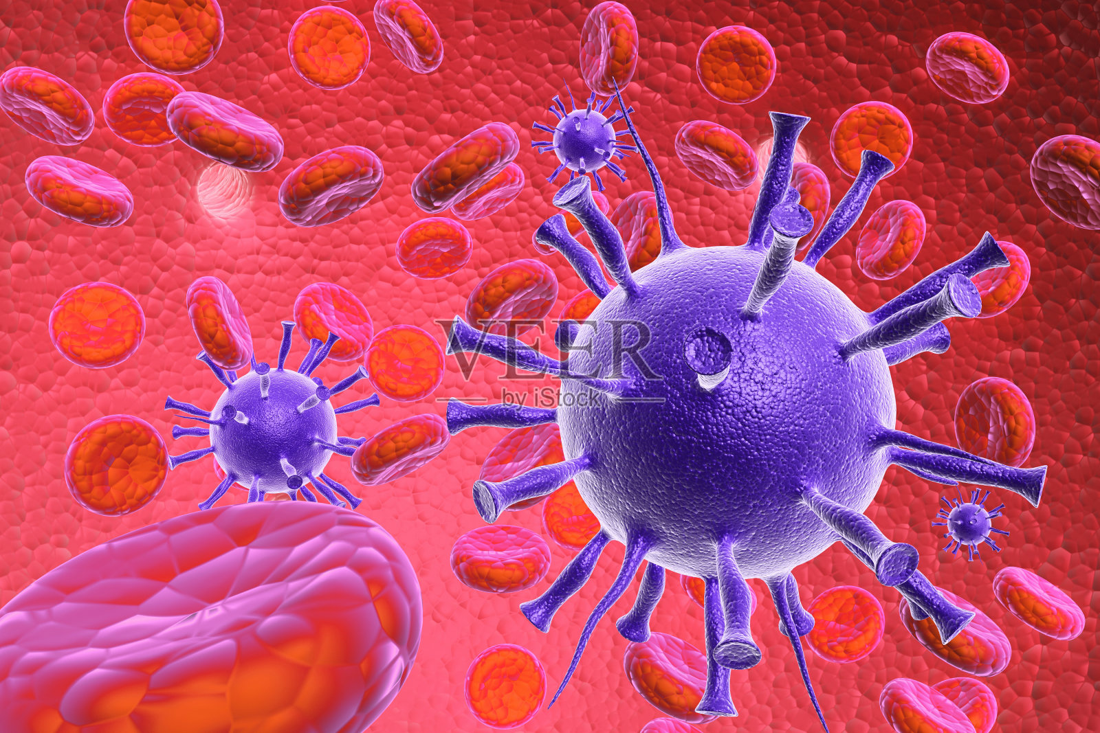 病毒和血细胞照片摄影图片