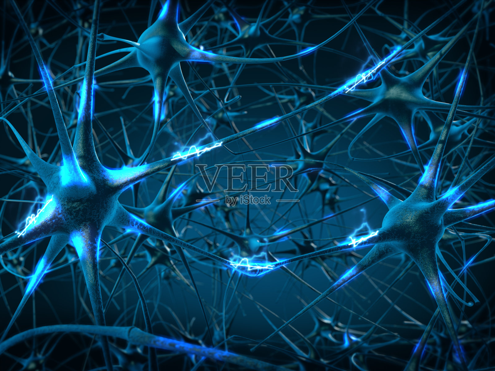 大脑内部。神经元和神经系统的概念。照片摄影图片