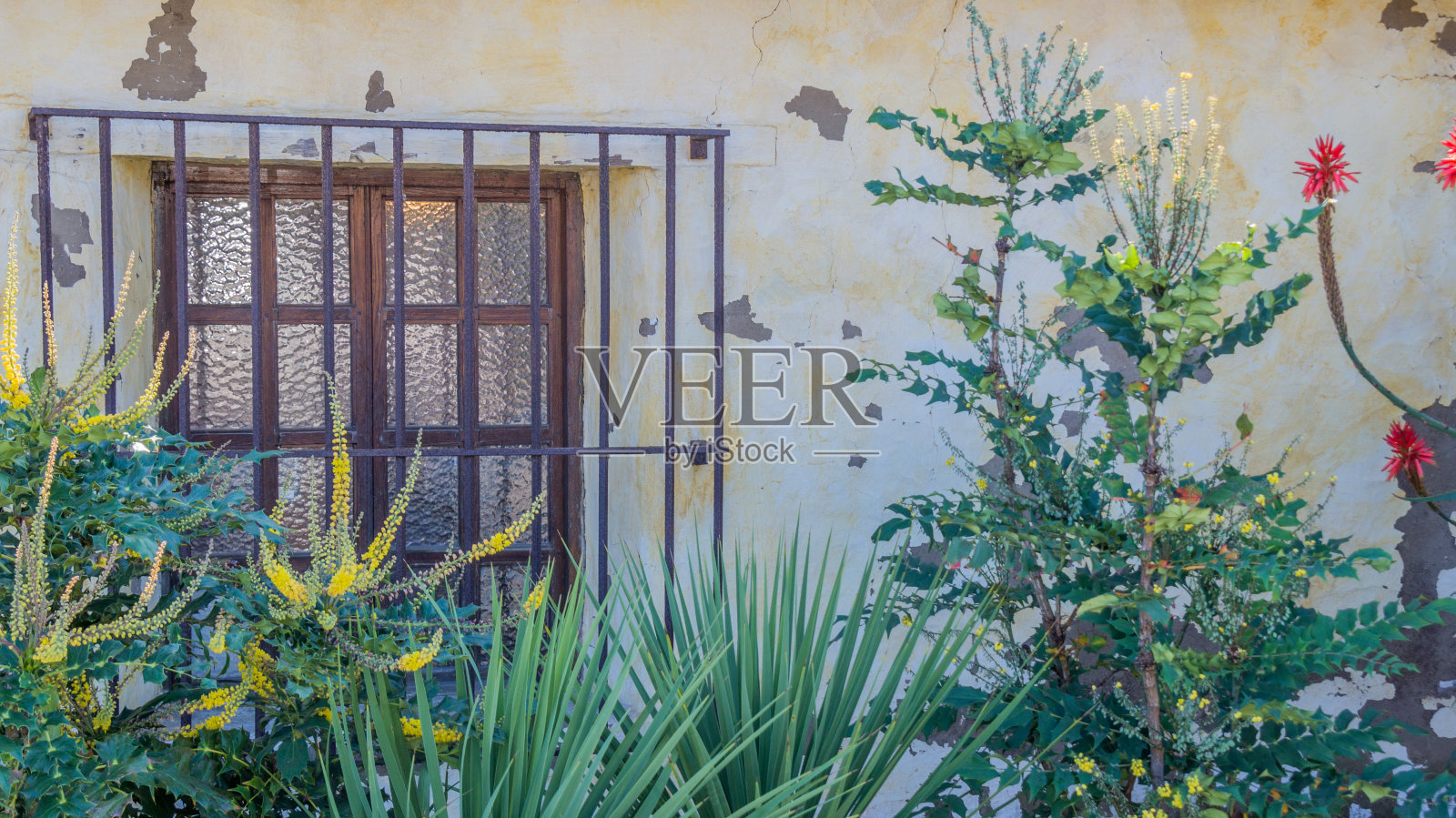 卡梅尔的任务照片摄影图片