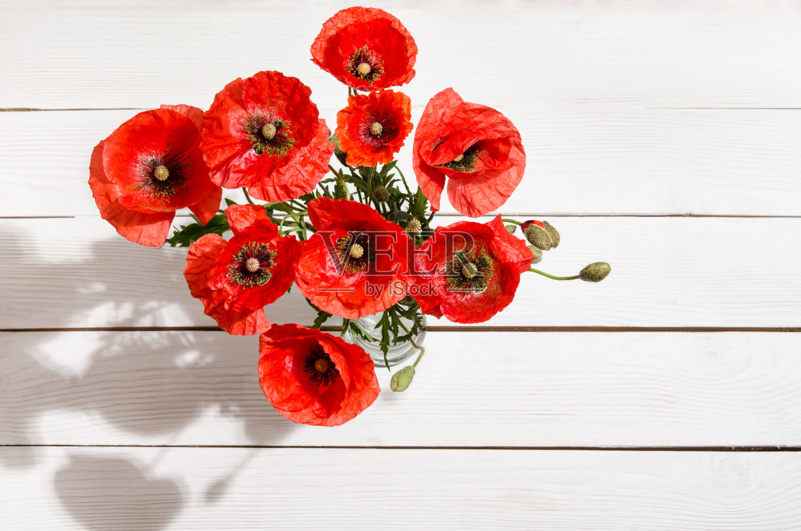 白色木桌上放着一束红色的罂粟花照片摄影图片