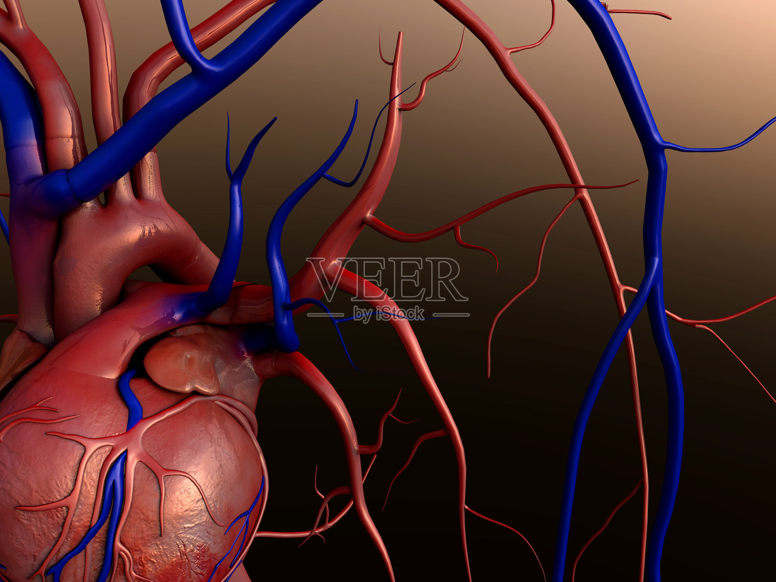 心照片摄影图片