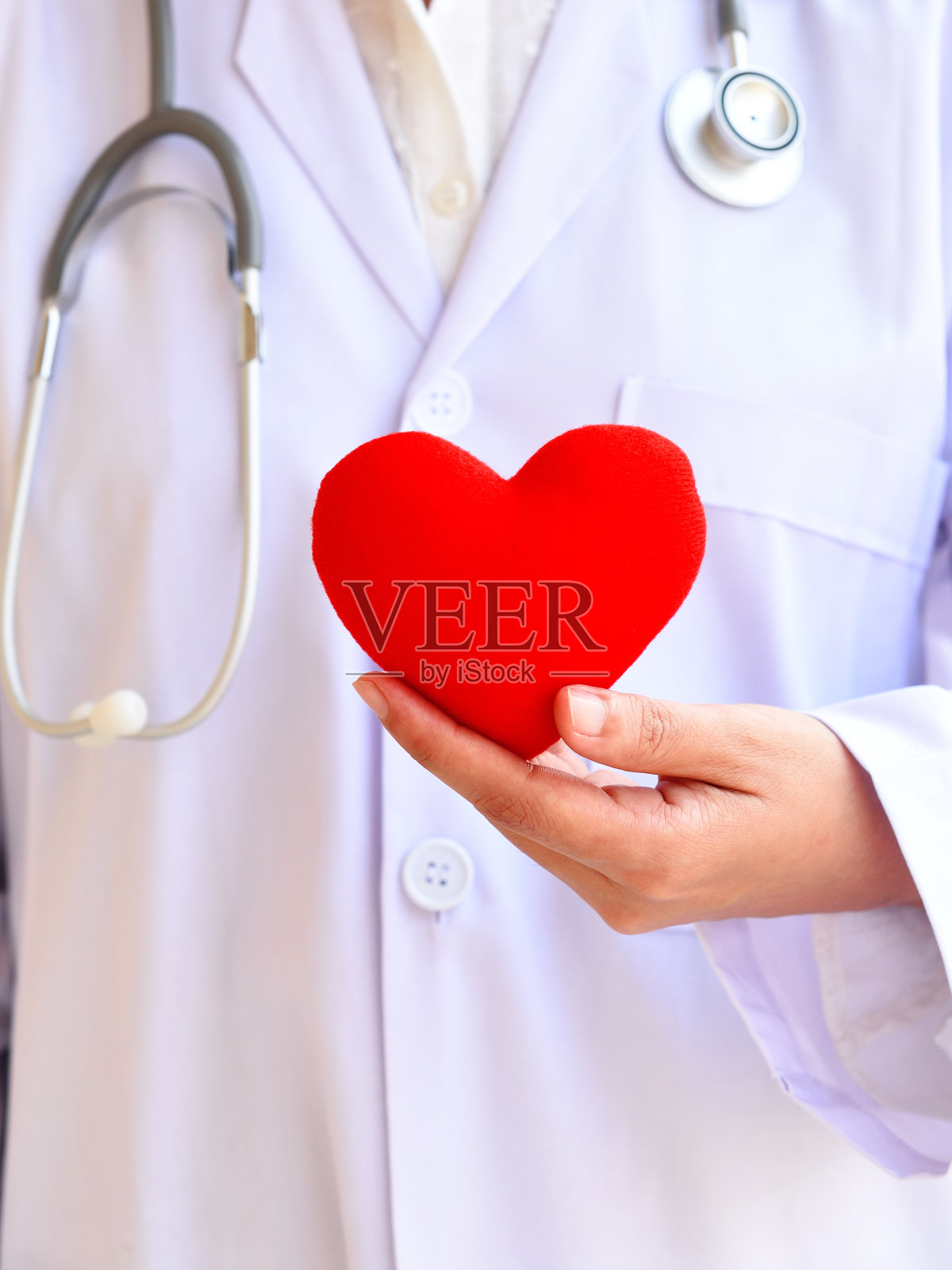 心脏,照片摄影图片