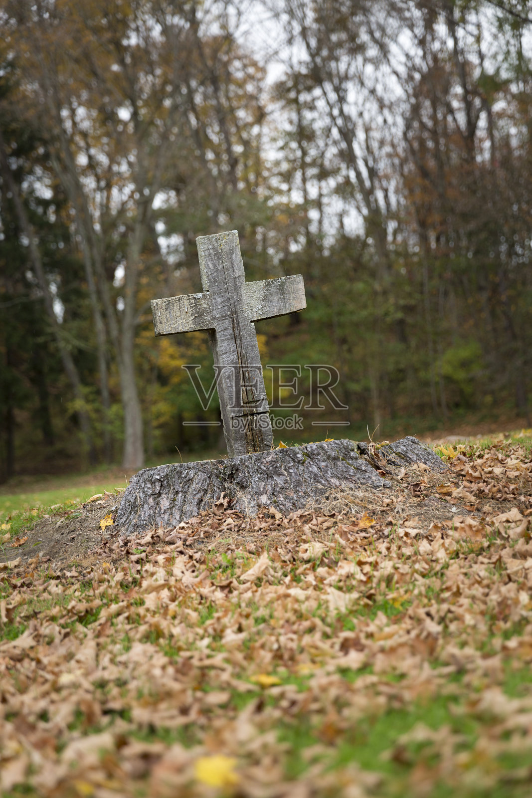 刻在树桩上的宗教十字架照片摄影图片