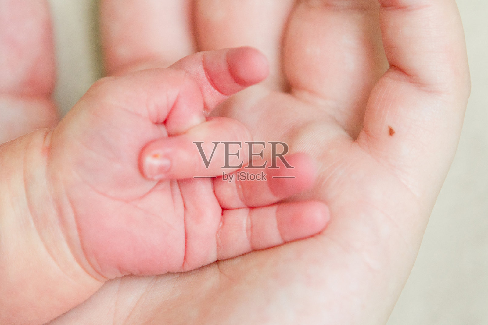 婴儿的手在一个成年人的照片摄影图片