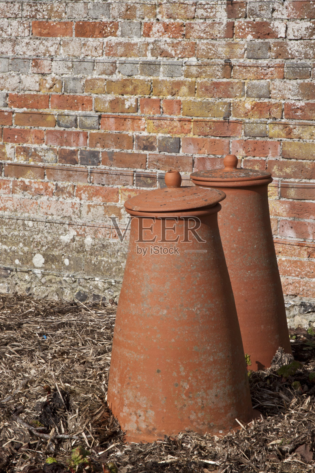 兵器鲁巴布部队克洛奇照片摄影图片