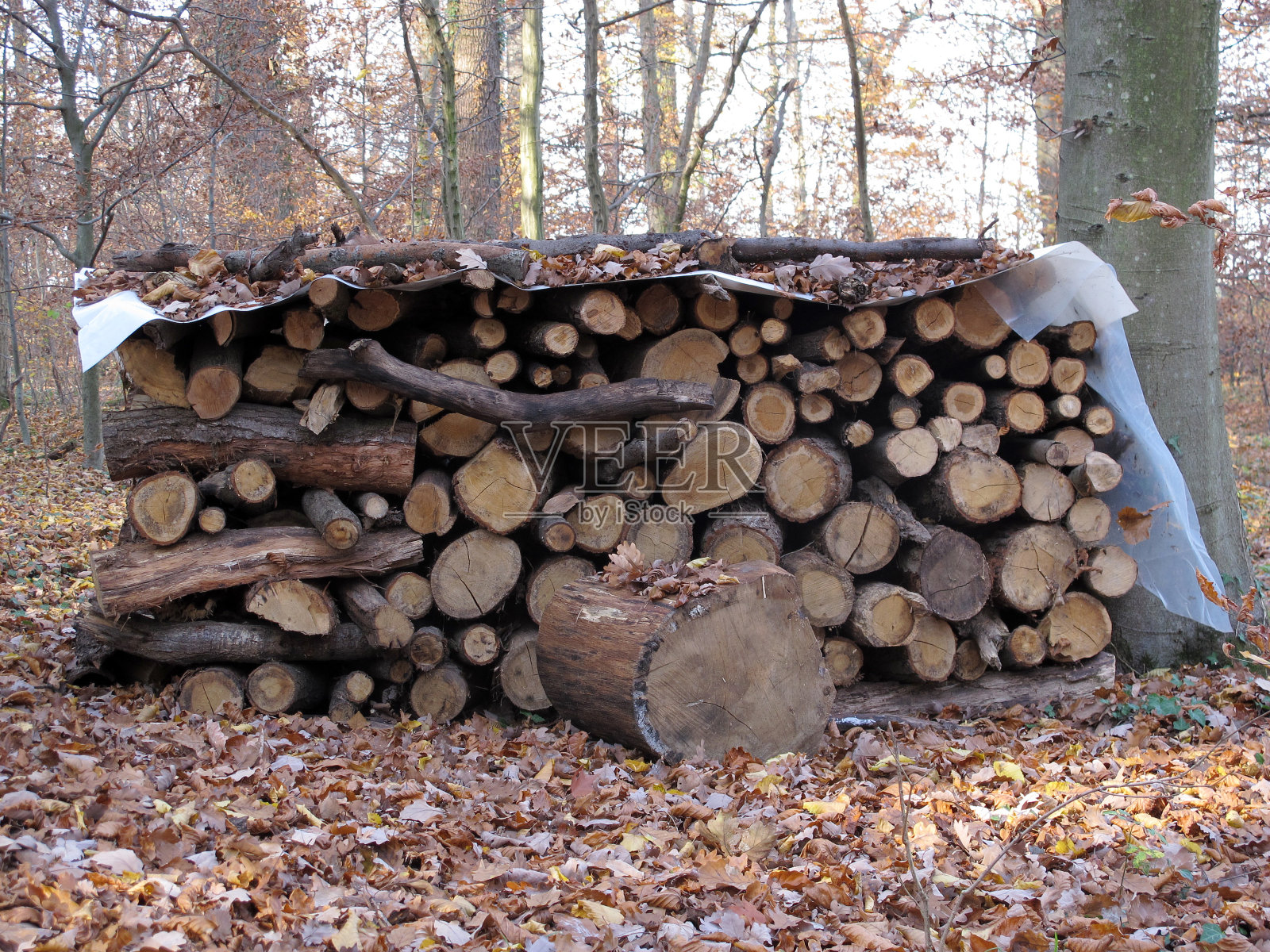 柴火照片摄影图片