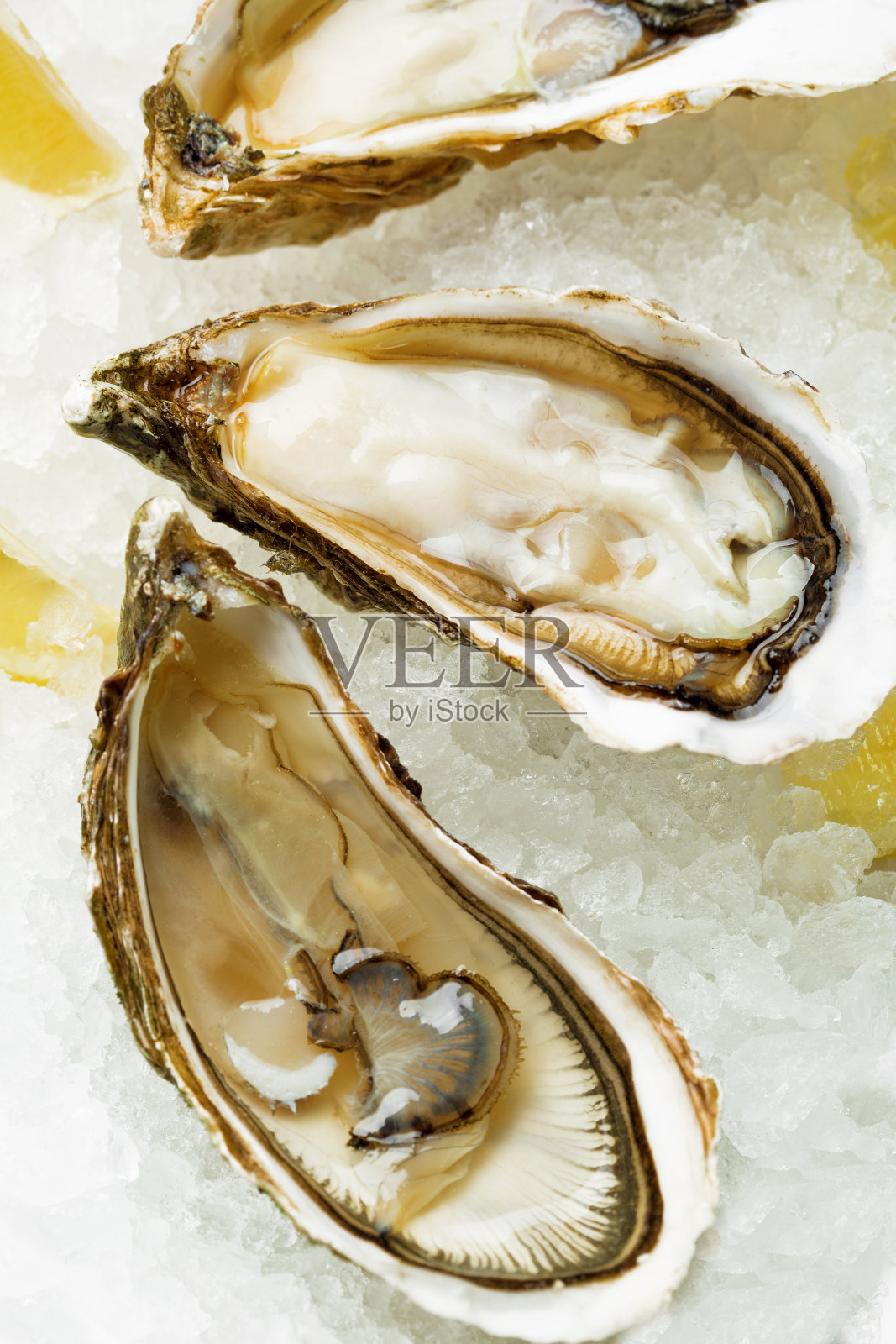 用柠檬和生蚝刀将潮湿的生蚝打开照片摄影图片