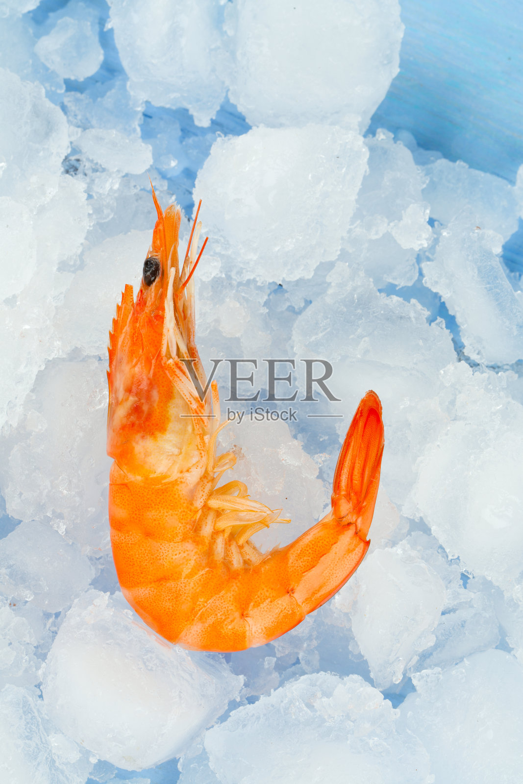 煮熟的冰虾照片摄影图片