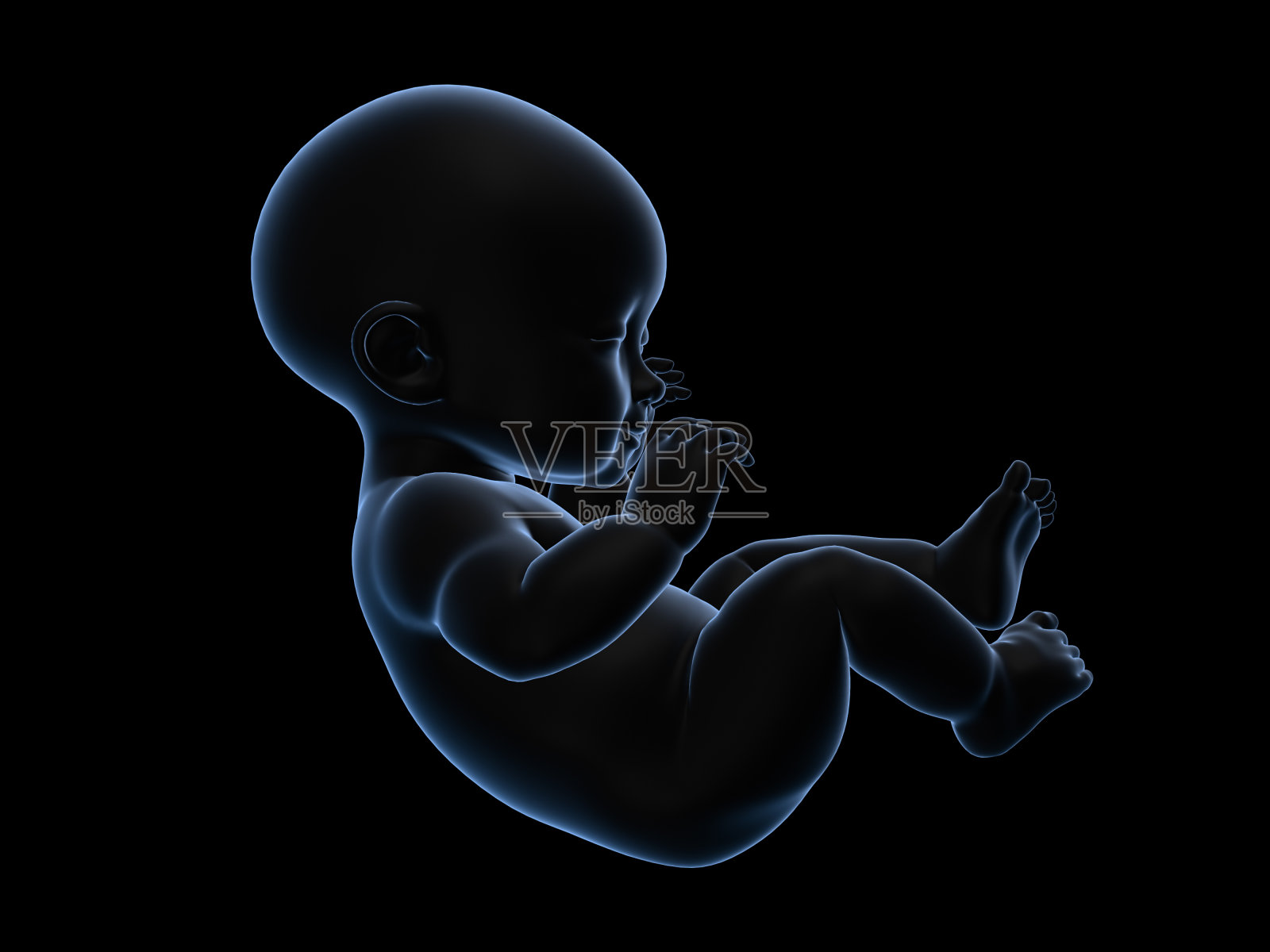 爬行婴儿的3d渲染x射线。照片摄影图片