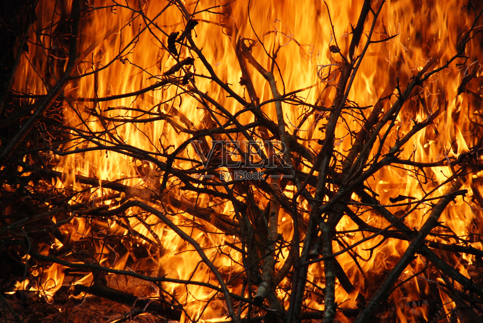 火的特写照片摄影图片