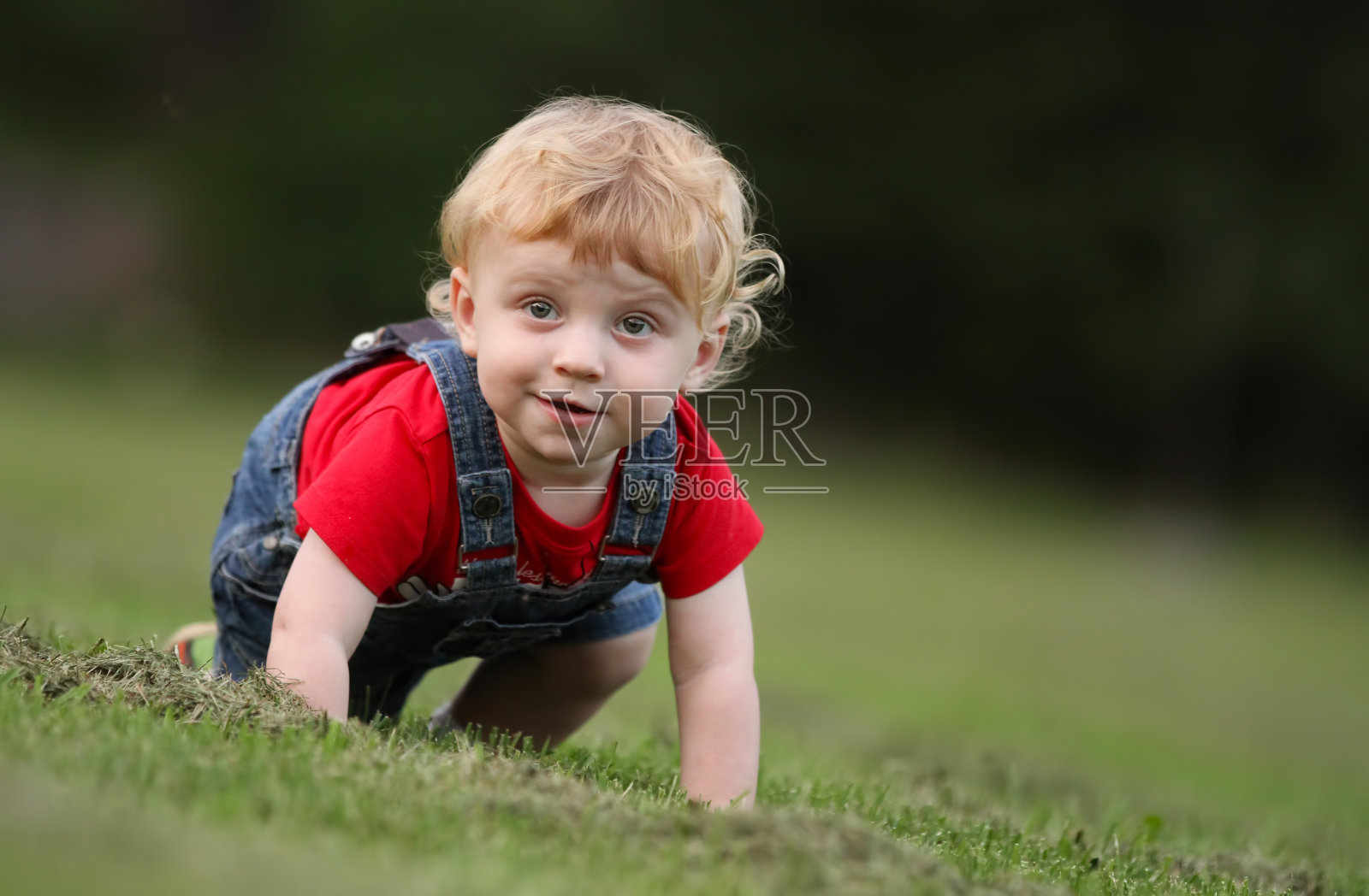 宝宝在春天照片摄影图片