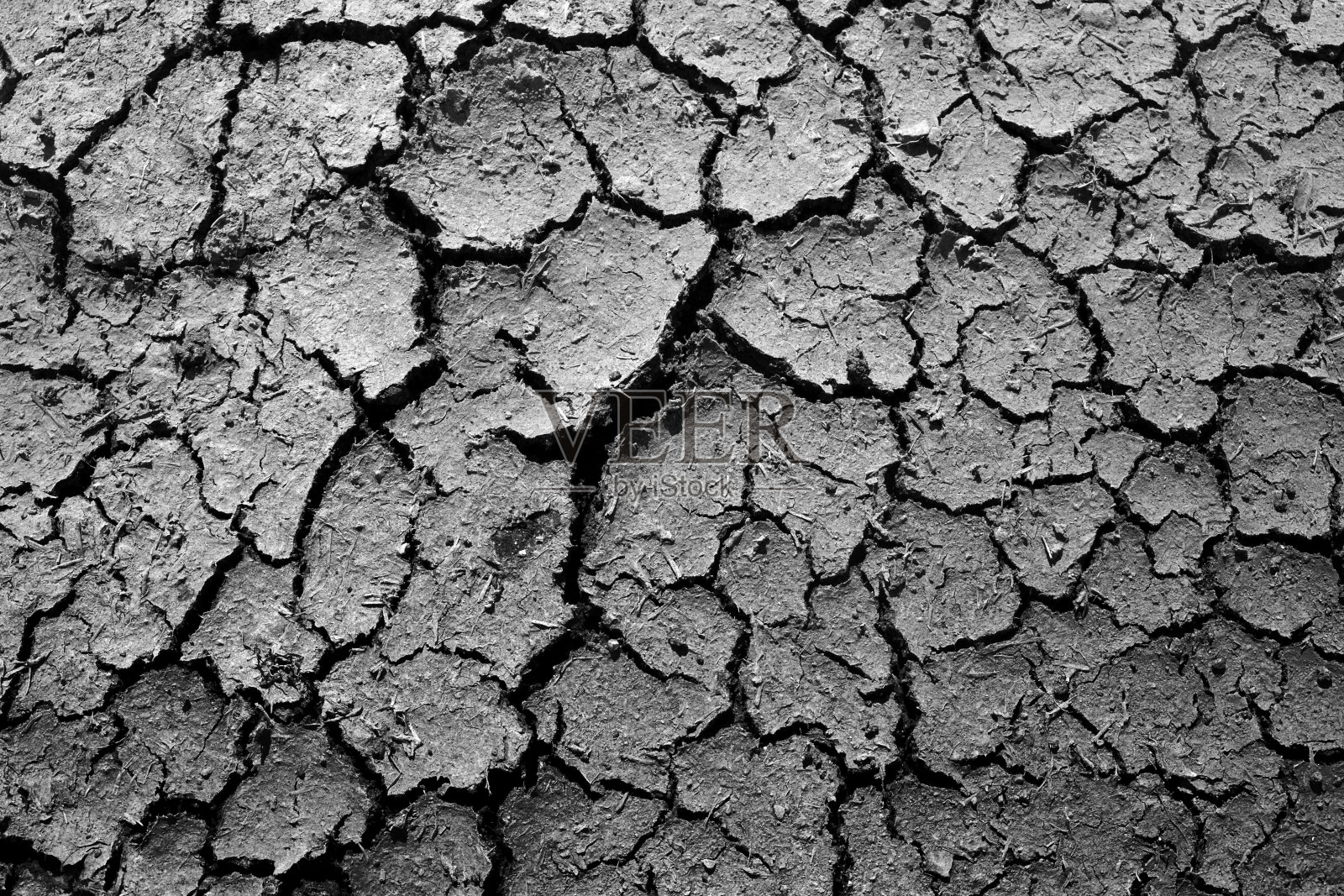 抽象的车轮痕迹,干燥的土壤,甜美的梦幻照片摄影图片