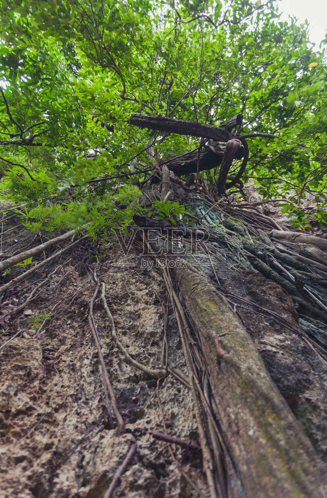 Phra Nang洞穴照片摄影图片