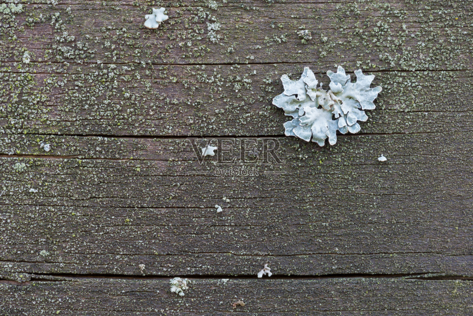 背景和纹理照片摄影图片