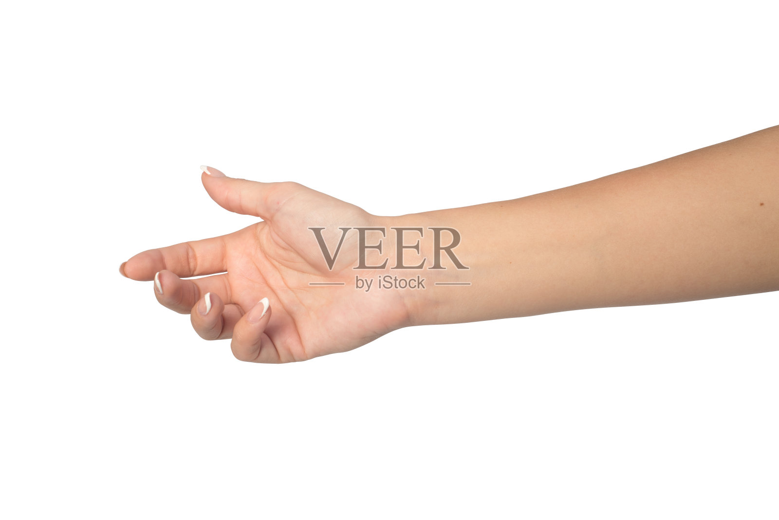 女人的手孤立在白色背景上。照片摄影图片