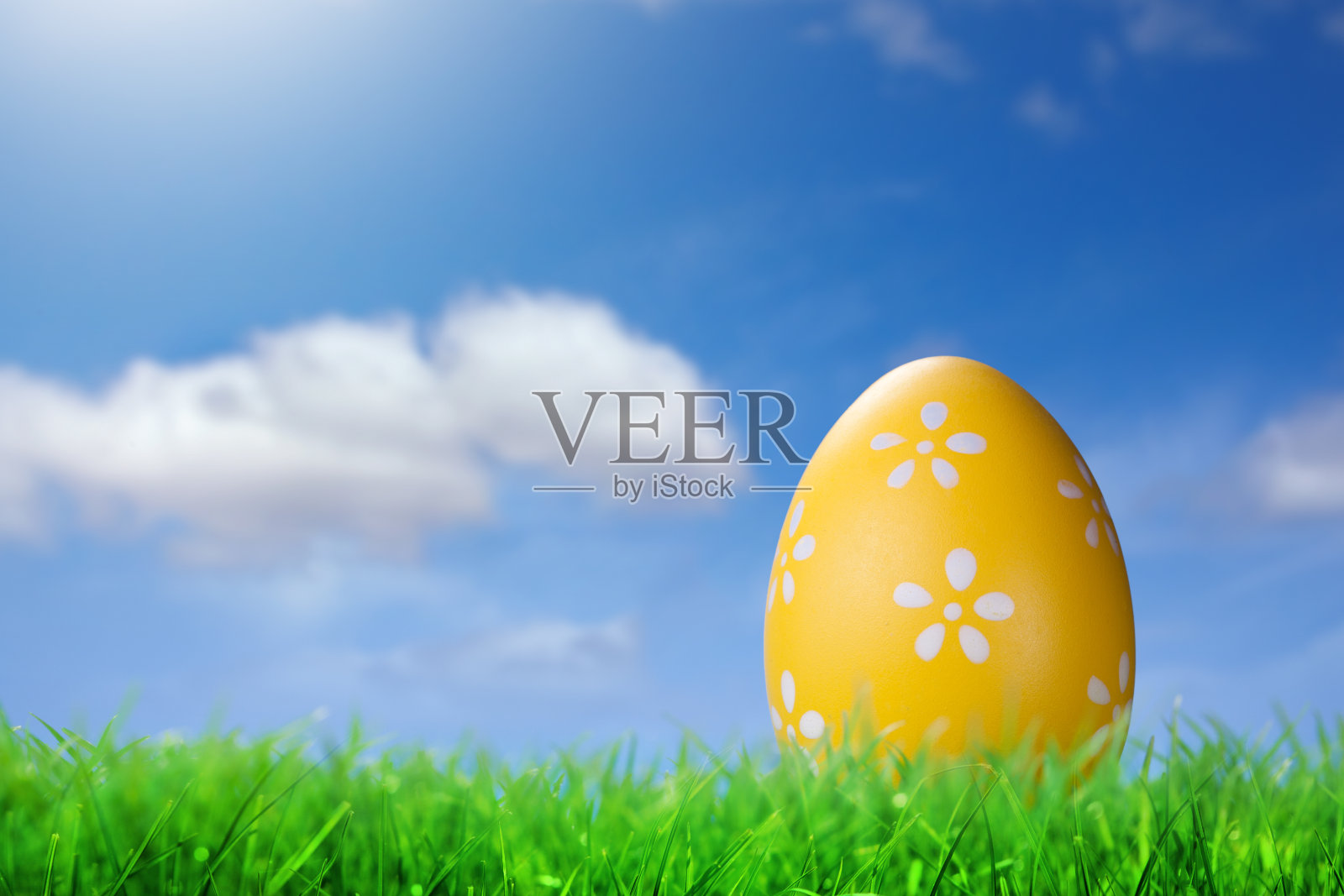 蓝色的天空映衬着草地上的复活节彩蛋照片摄影图片
