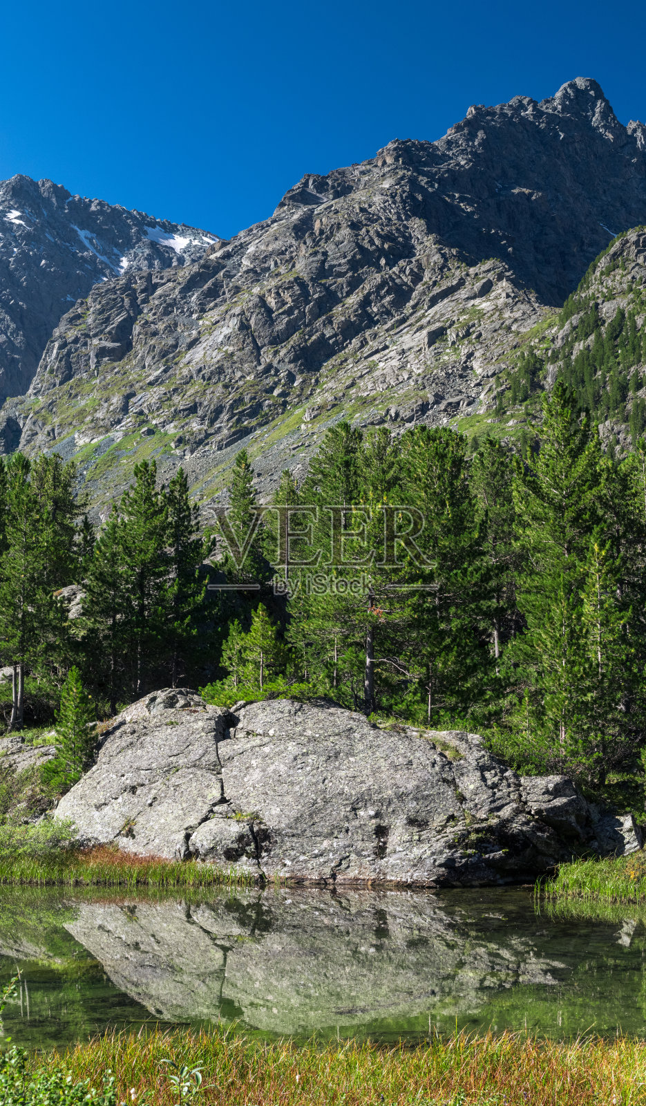 石头在俄罗斯阿尔泰山湖中的倒影照片摄影图片