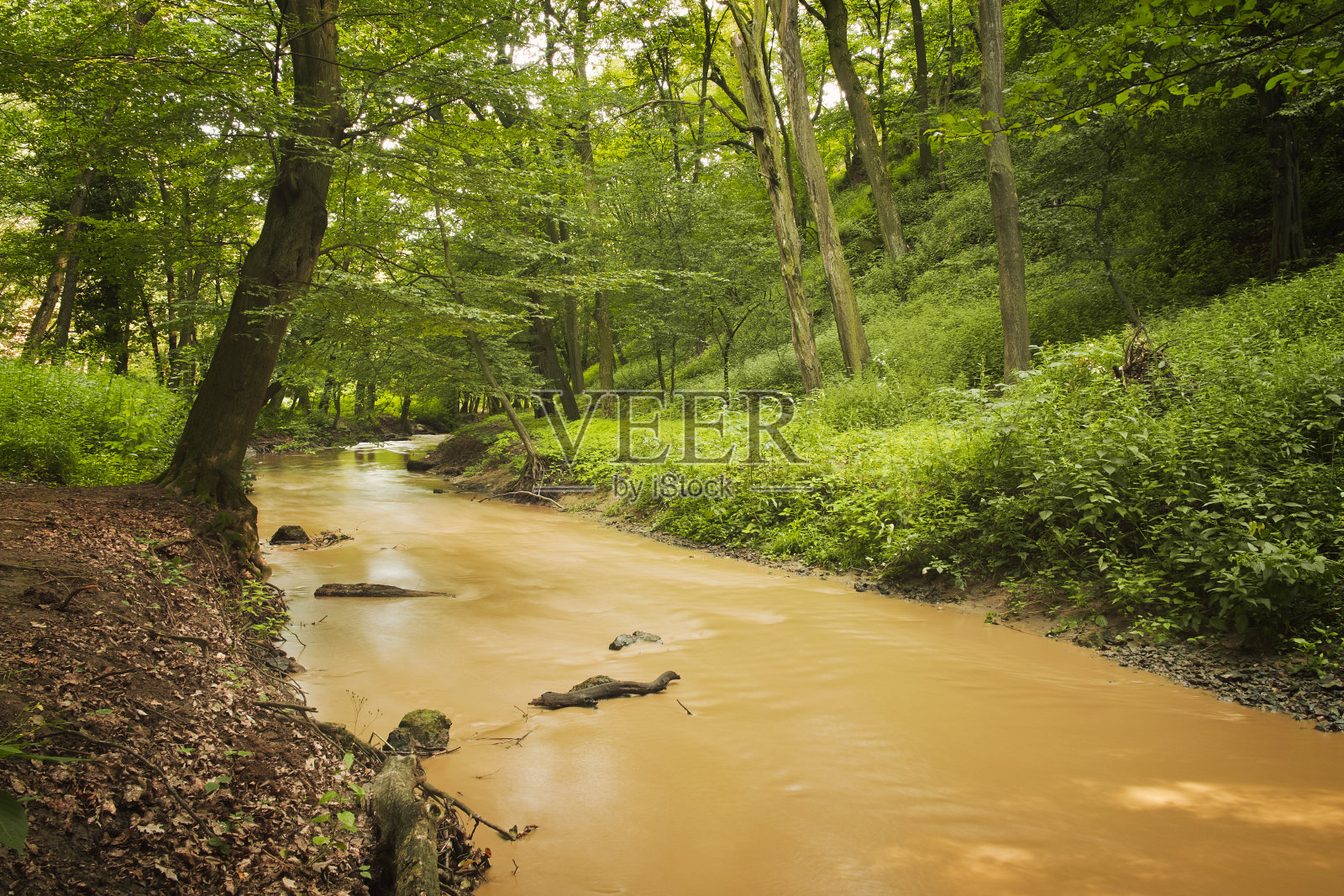 夏天溪照片摄影图片