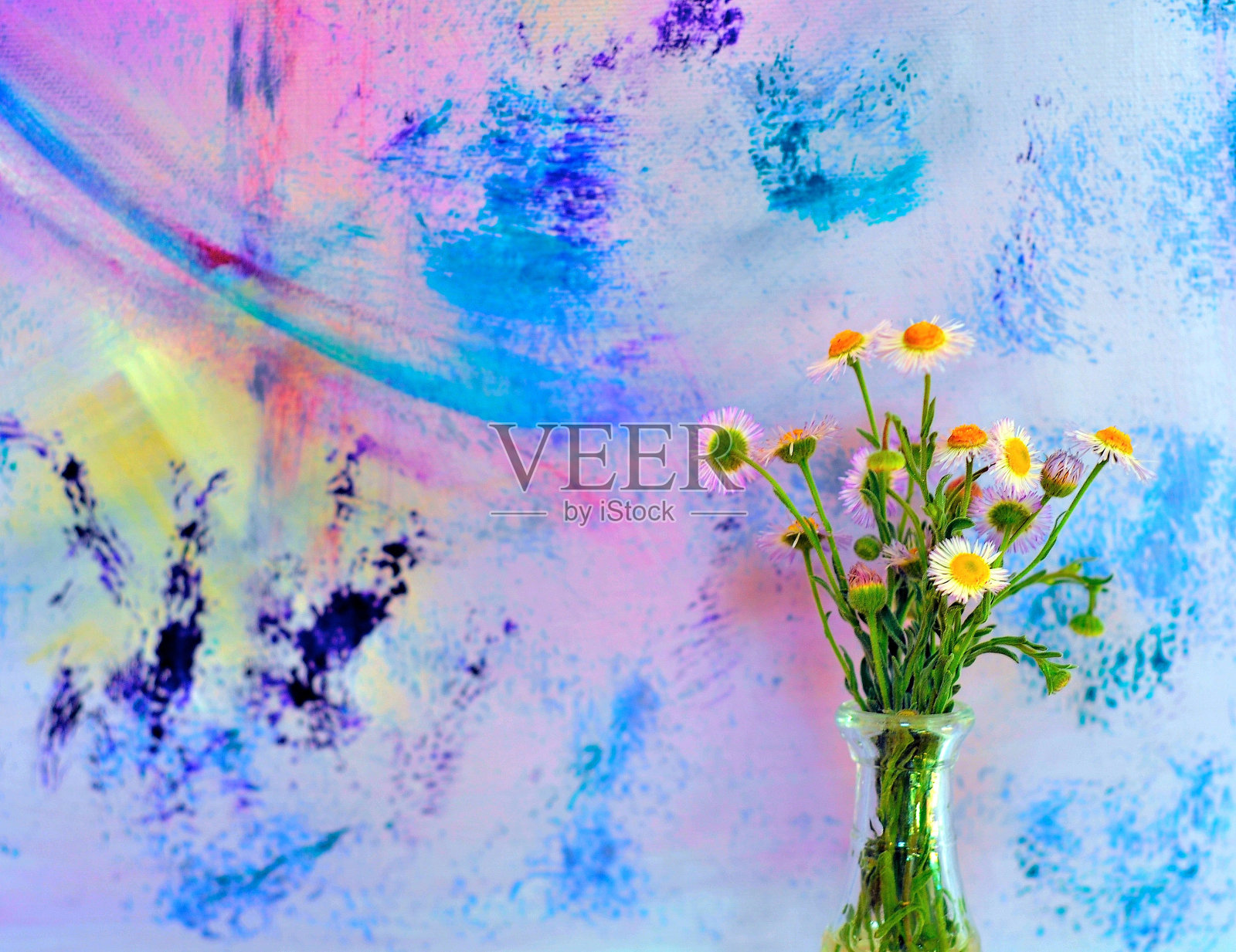 花瓶里的雏菊照片摄影图片