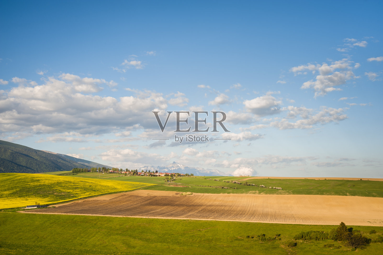 村庄在字段照片摄影图片