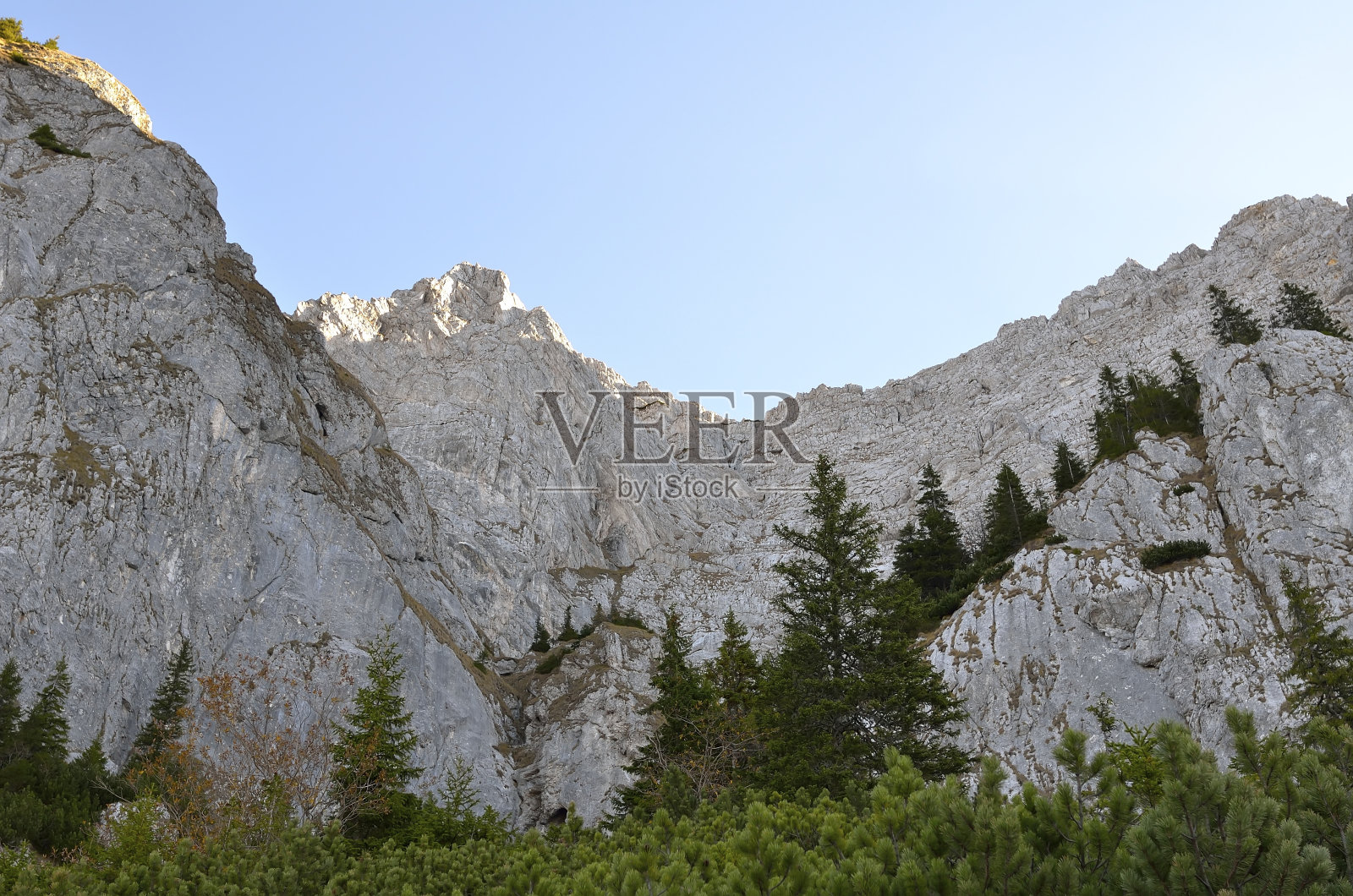 美丽的春天风景在国家公园Piatra Craiului照片摄影图片